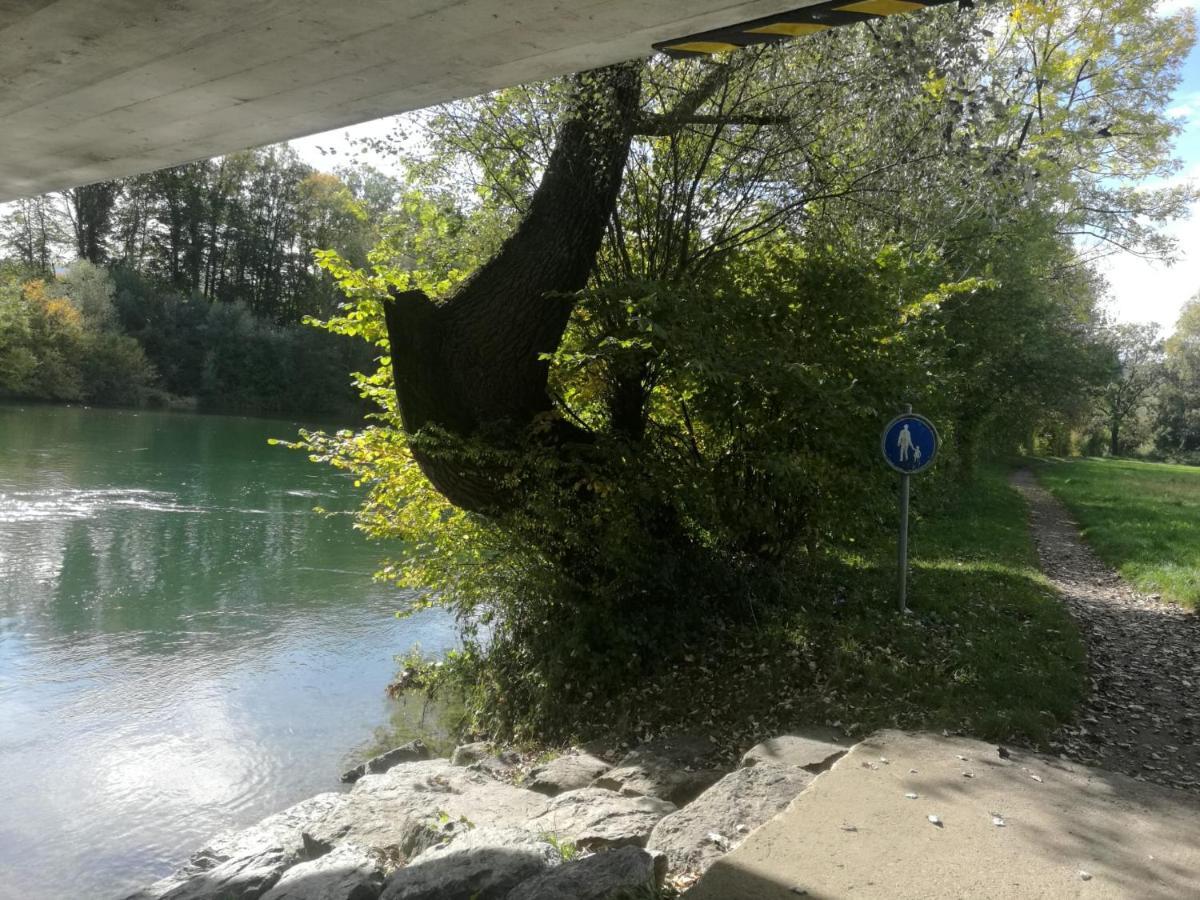 Mariposa Apartamento Efringen-Kirchen Εξωτερικό φωτογραφία